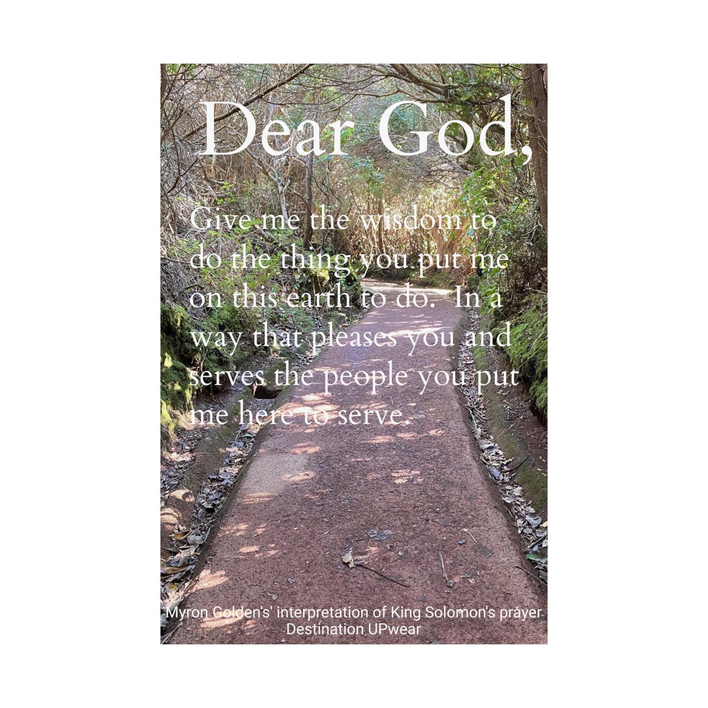 King Solomon's prayer Matte Vertical Wall Art