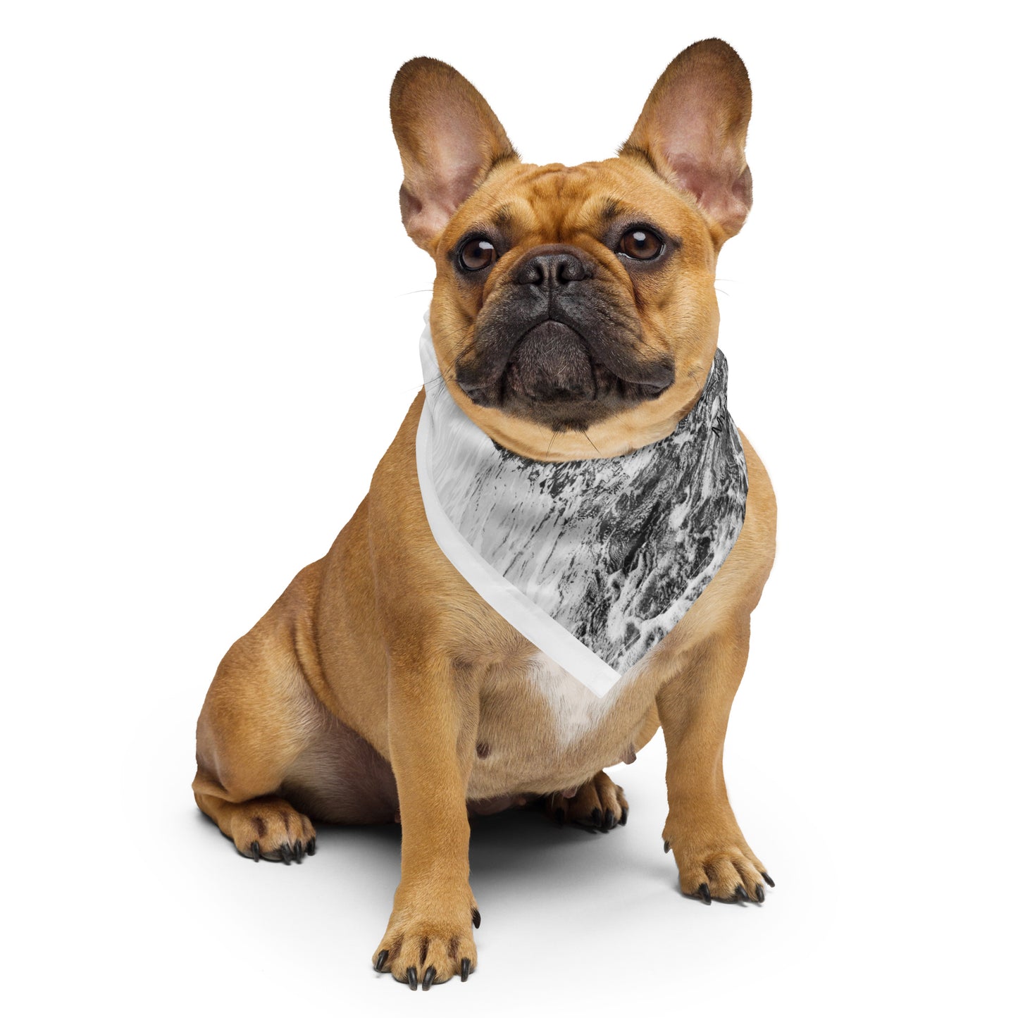 Myrtle Beach, South Carolina All-over print bandana